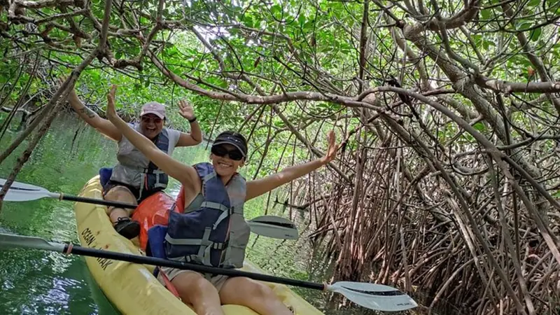 Kayaking through the mangroves of Nichupté Lagoon